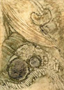 Catálogo - Sol Pérez